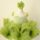 Rochita botez verde cu trena Selenia Deluxe Volume 0-12 ani